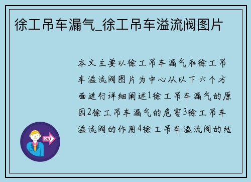 徐工吊车漏气_徐工吊车溢流阀图片