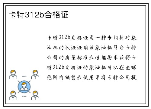 卡特312b合格证